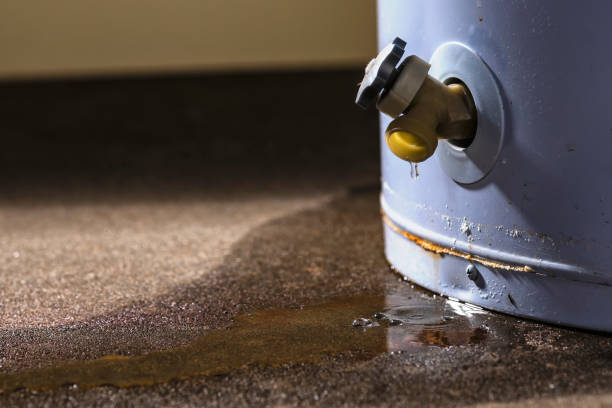 Best Water damage restoration process  in Hartford, CT