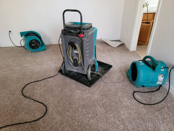 Best Flooded house restoration  in Hartford, CT