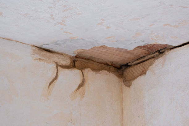 Best Local water damage restoration  in Hartford, CT