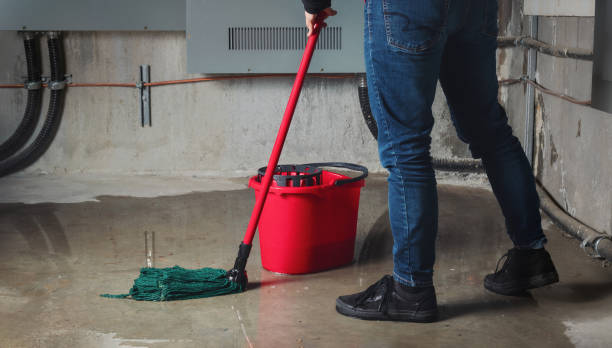 Best Basement water damage restoration  in Hartford, CT