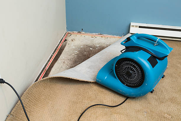 Best Local water damage restoration  in Hartford, CT